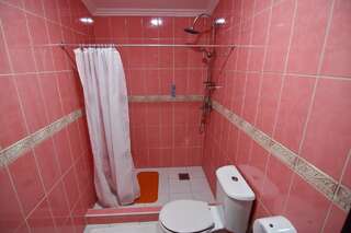 Апартаменты Apartmani Timm Плав Номер-студио-1